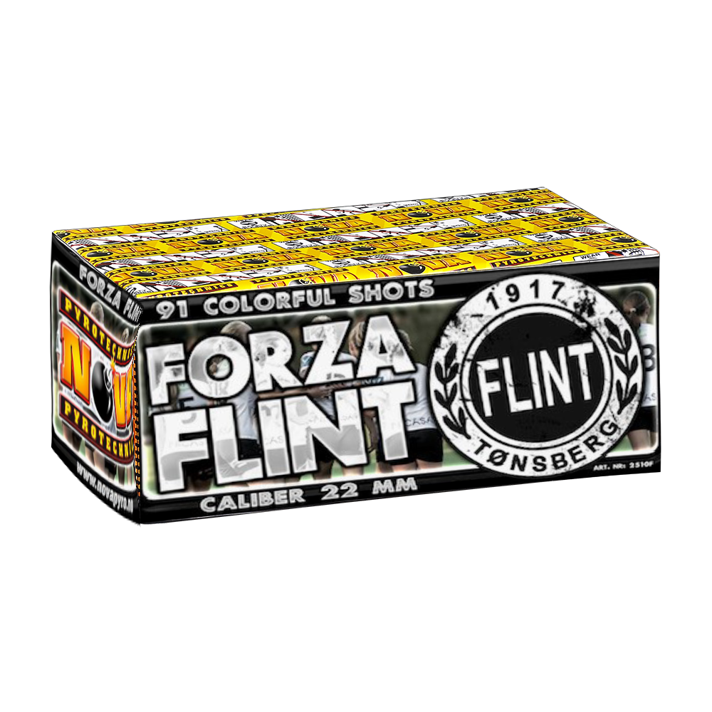 https://www.flintfotball.no/wp-content/uploads/2023/12/Foza-Flint.png