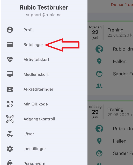 betalinger https://www.flintfotball.no/wp-content/uploads/2024/02/betalinger-514x640.png