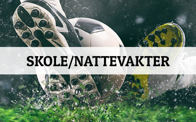 Flint søker skole/nattevakter – Flint Fotballfestival (betalt)