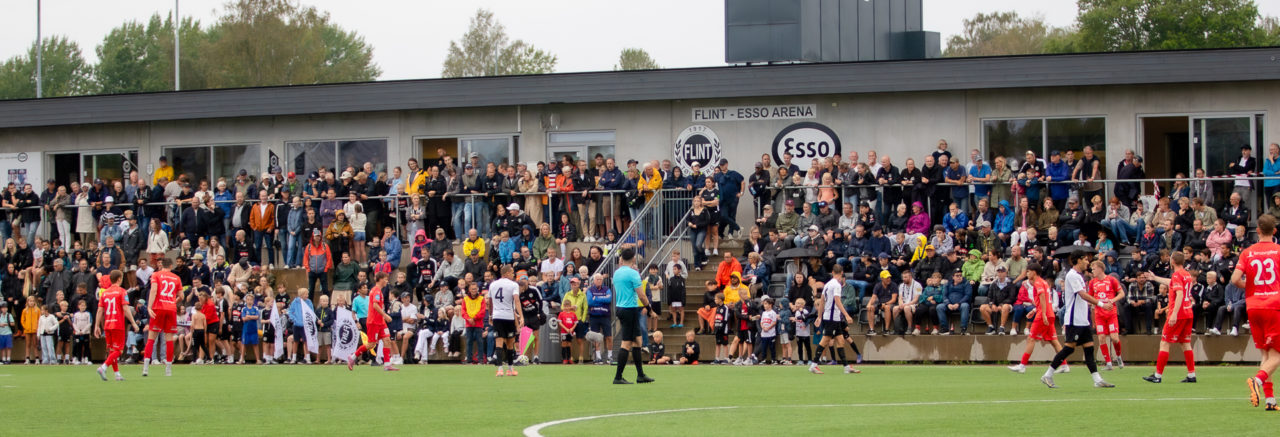 NM Flint-Eik - Tv2-18