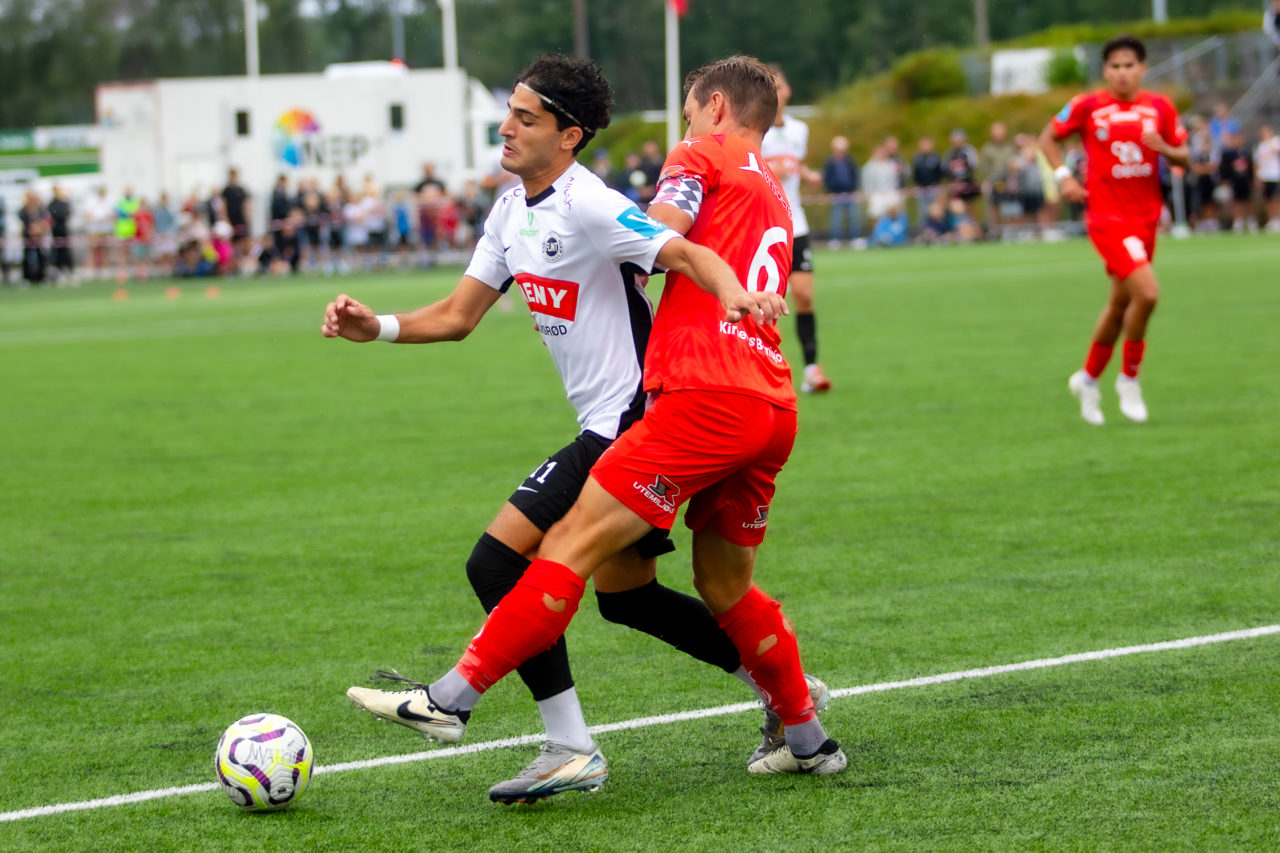 NM Flint-Eik - Tv2-30-2